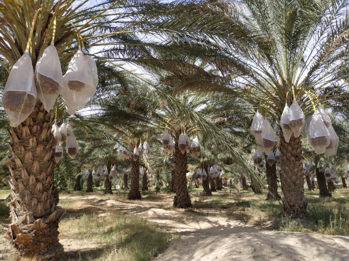 Grand Sud, La Maison De Sable دوز المظهر الخارجي الصورة